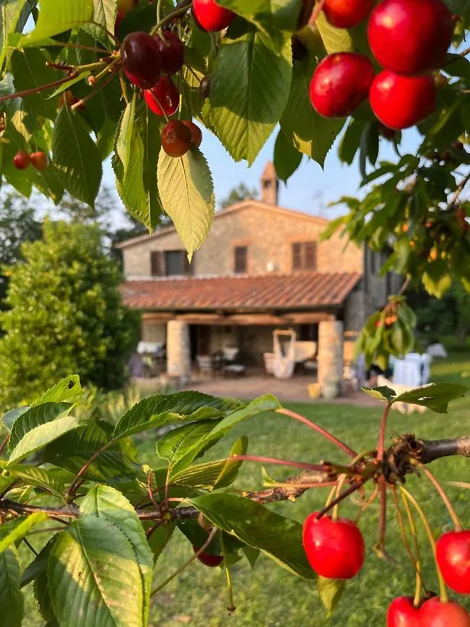 Διαμέρισμα Agriturismo Monte Gusciani Massa Marittima Ιταλία